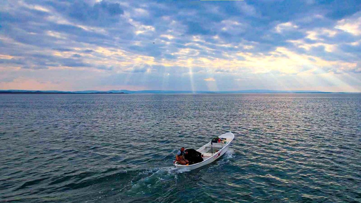 Savcılı Plajı